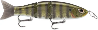 Storm Arashi Swimmer 182.18 oz 7 » Green Gill
