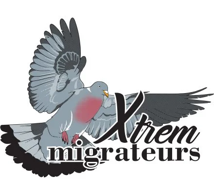 Sweat pigeon ramier kaki XTREM MIGRATEURS – Image 2