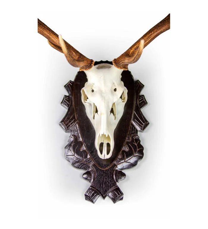 Système de porte-trophée