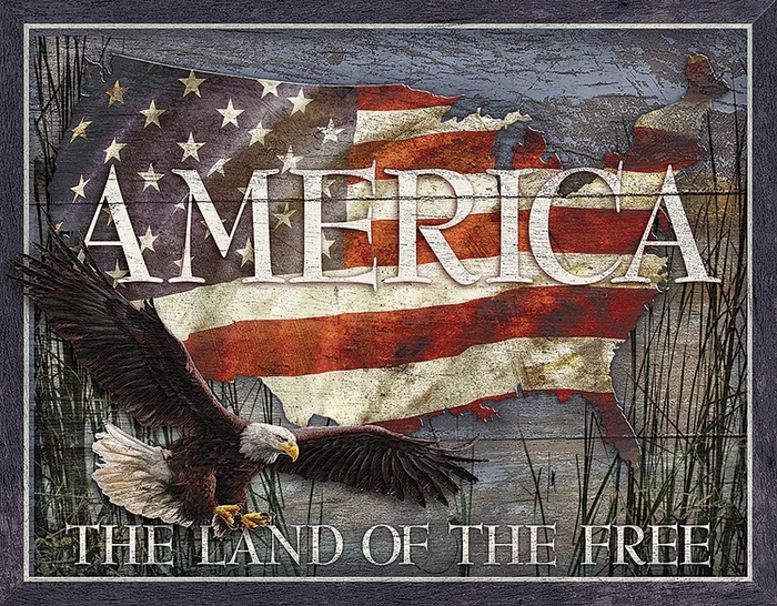TSN2159 Affiche Metallique America Land of Free