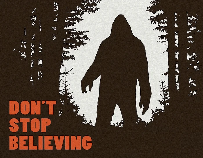 TSN2195 – Affiche Metallique Dont Stop Believing