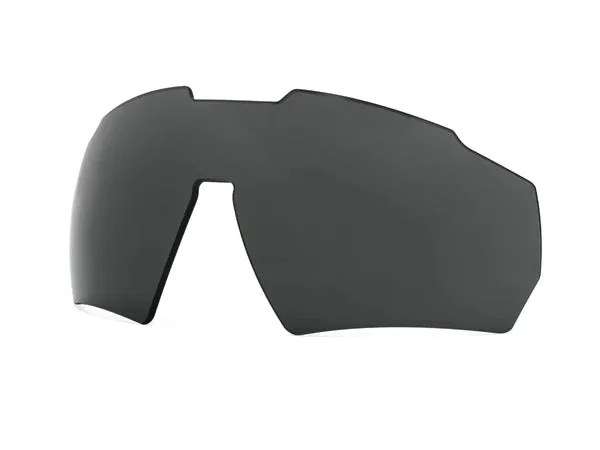 Verres de remplacement Blastshield – (ANSI Z87+) fumé