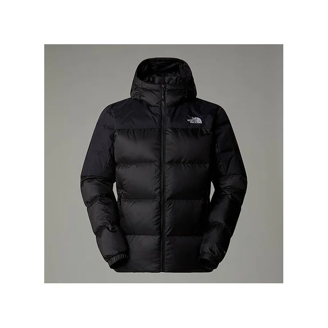 VESTE THE NORTH FACE M DIABLO DOWN 2.0 HOODED