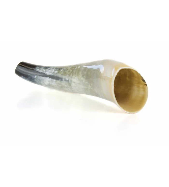 Weisskirchen Cerf – Corne de Boeuf (env. 40 cm)